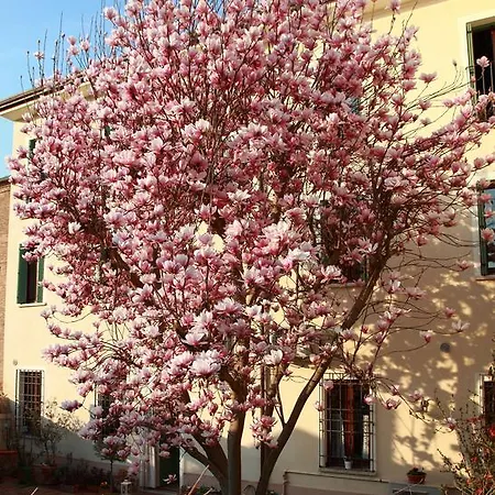 Alojamento de Acomodação e Pequeno-almoço La Magnolia *