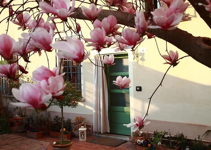 La Magnolia Ostiglia
