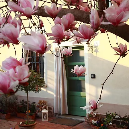 La Magnolia Ostiglia