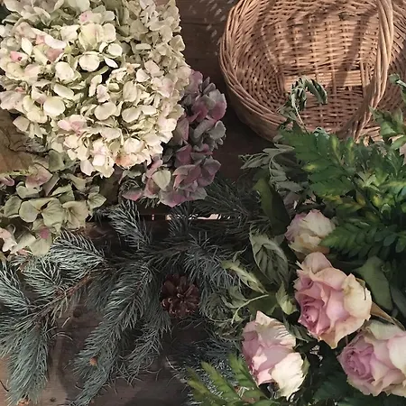 La Magnolia ベッド・アンド・ブレックファスト